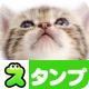 猫スタンプ(実写スタンプ) icon