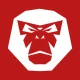 RideLink icon