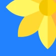แกลเลอรี่ภาพ – แอพแต่งรูป icon