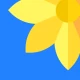 แกลเลอรี่ภาพ – แอพแต่งรูป icon