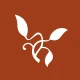 CCL App icon