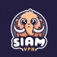 Siam VPN icon