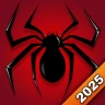 Spider Solitaire Patience