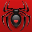 スパイダーソリティア icon