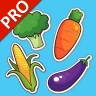 야채 플래시카드 PRO : 영어를 배우다