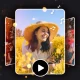 Video fotografici con musica icon