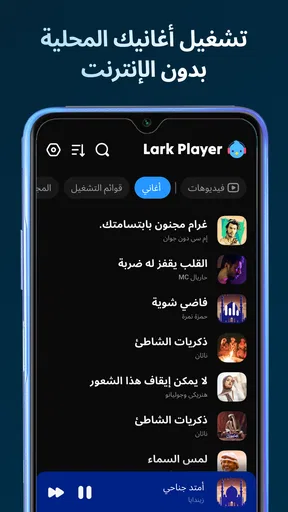Lark Player - مشغل الموسيقى screenshot