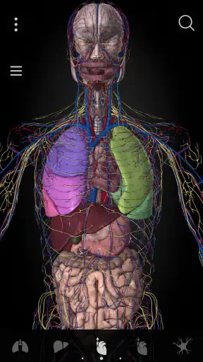 Anatomyka - 3D Anatomy Atlas screenshot