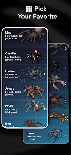AR Spiders & Co: Scare friends screenshot