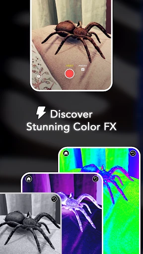AR Spiders & Co: Scare friends screenshot
