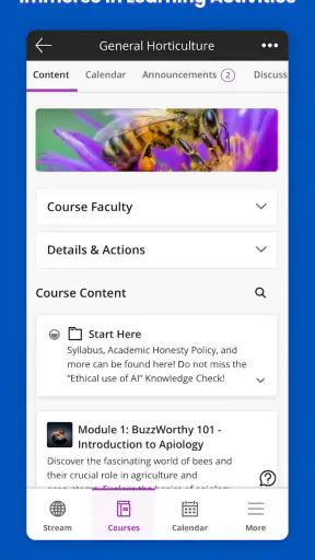 Blackboard screenshot