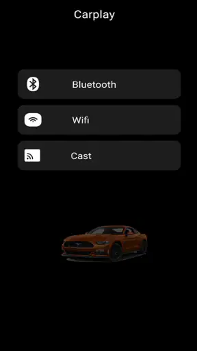 Carlink Connect for Android screenshot