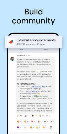 Google Chat screenshot