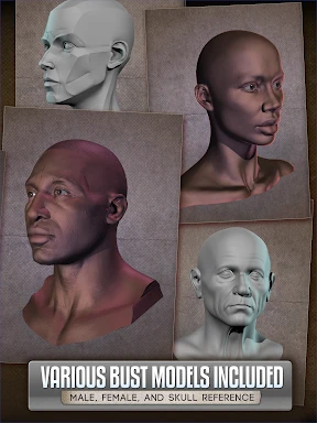 Handy Art Reference Tool screenshot