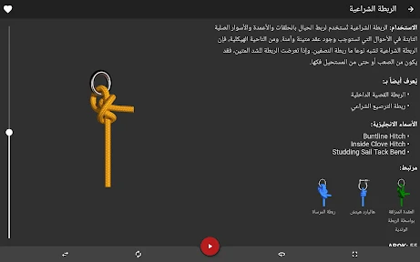 (Knots 3D) 3D عقدة screenshot