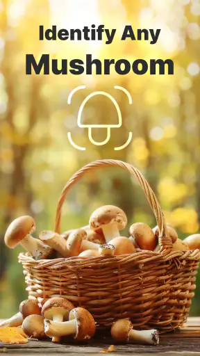 Mushroom Identification screenshot