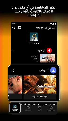 Netflix screenshot