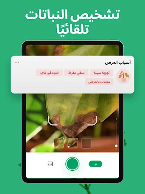 PictureThis - Plant Identifier screenshot