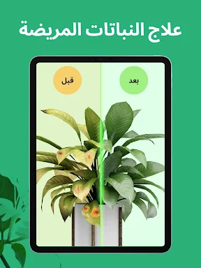PictureThis - Plant Identifier screenshot
