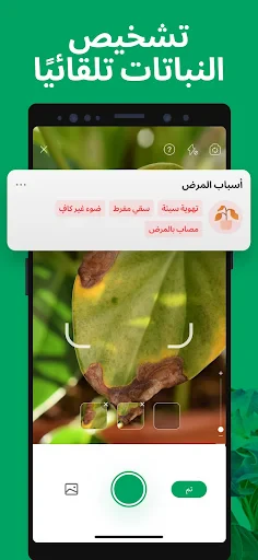 PictureThis - Plant Identifier screenshot