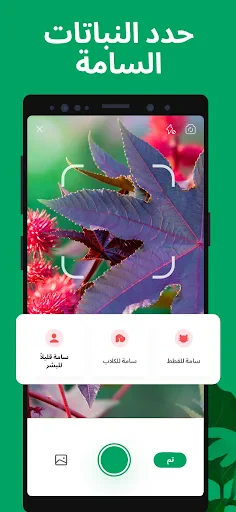 PictureThis - Plant Identifier screenshot