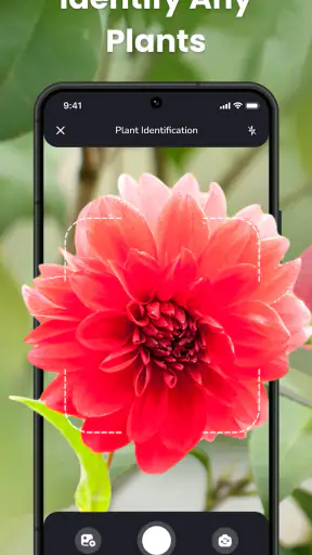 PlantIn: تحديد النباتات screenshot