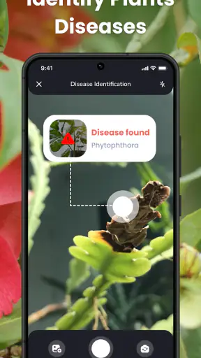 PlantIn: تحديد النباتات screenshot