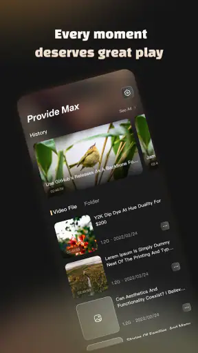 Provide Max-Pure Audio Video screenshot