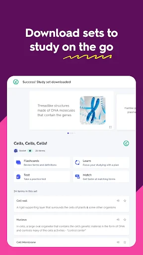 Quizlet: Study with Flashcards screenshot