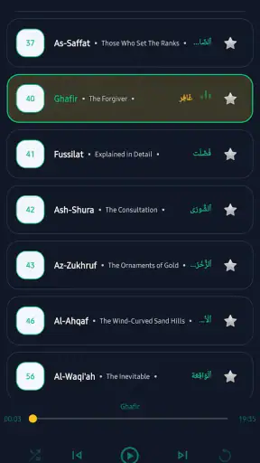 Quran: Audio & Translation screenshot