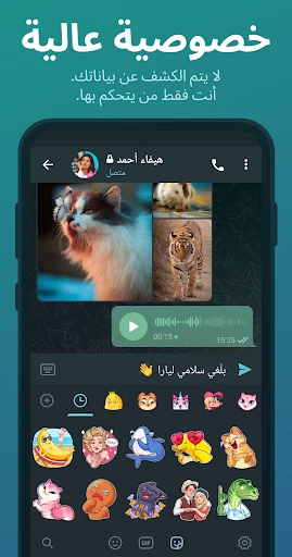 Telegram screenshot