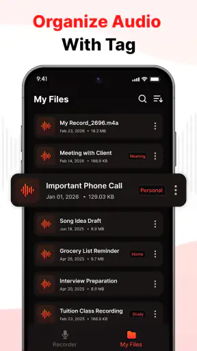 Voice Recorder & Audio Notes screenshot
