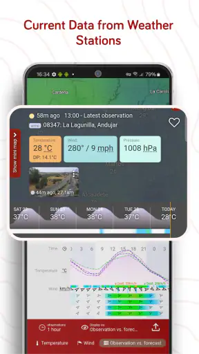 Windy.com - توقعات الطقس screenshot