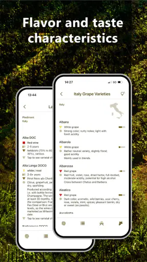 Wine Profiles & Vine Varieties screenshot