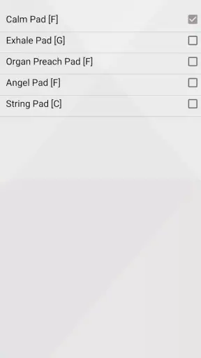 XME LOOPS screenshot