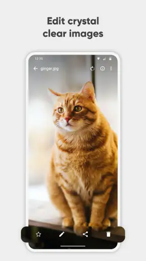 معرض بسيط برو screenshot