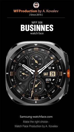 WFP 308 Business watch face screenshot