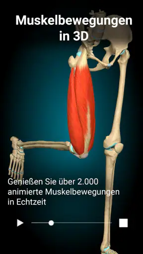 3D-Anatomie - Anatomy Learning screenshot