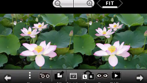 3DSteroid Pro screenshot