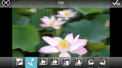 3DSteroid Pro screenshot