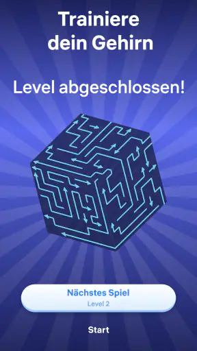 Arrow Puzzle 3D: Geduldsspiele screenshot