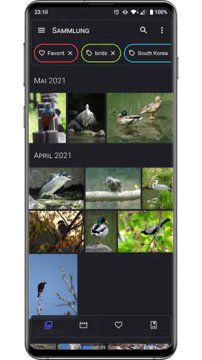 Aves Galerie screenshot