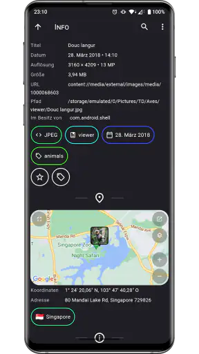Aves Galerie screenshot