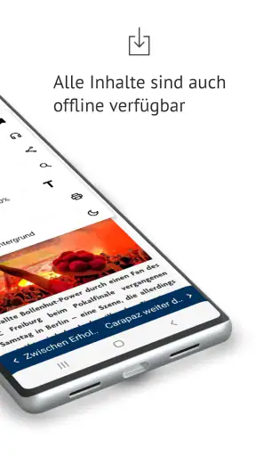 Badische Zeitung screenshot