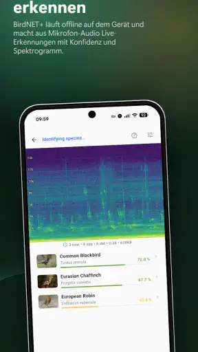 BirdNET Live screenshot