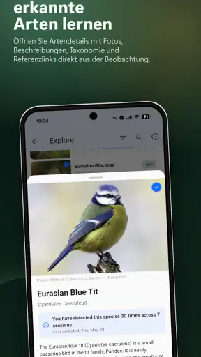 BirdNET Live screenshot