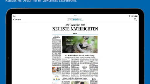 BNN ePaper screenshot