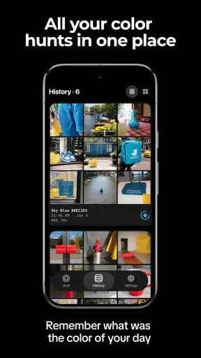 Color Hunter screenshot