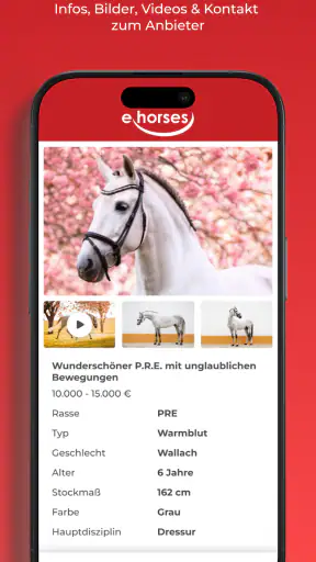 ehorses screenshot