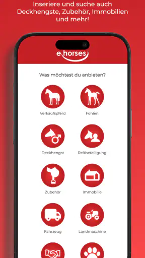 ehorses screenshot